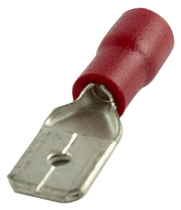 Terminal Rojo