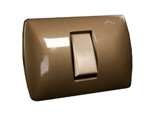 Oliva