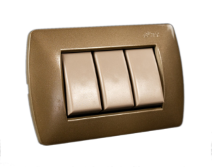 Oliva