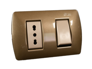 Oliva